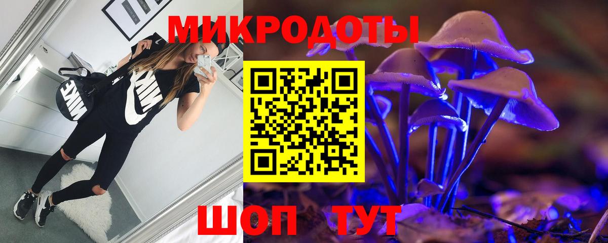 Галлюциногенные грибы MAGIC MUSHROOMS  Вход с VPN  Чехов 